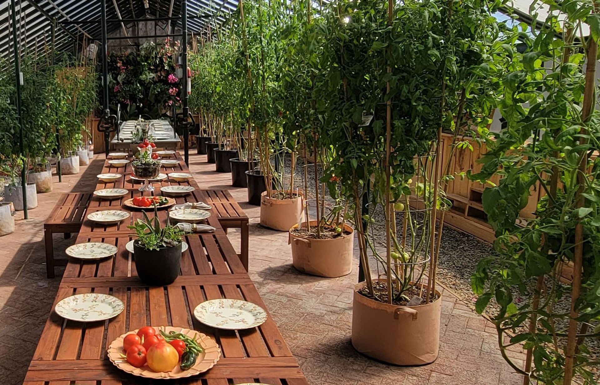 Greenhouse interior with lush plants and dining tables